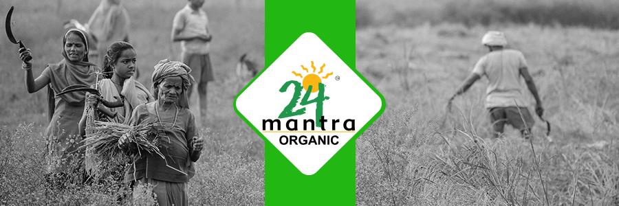 24 Mantra entrusts GenY Medium with their digital mandate